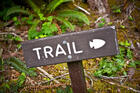 Trail - Running Trail - Running